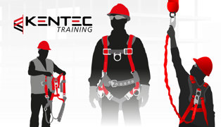 Safety Harness - Subcategory Image